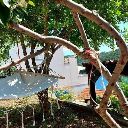 Apartamento Apartman More Novigrad (Dalmatia)