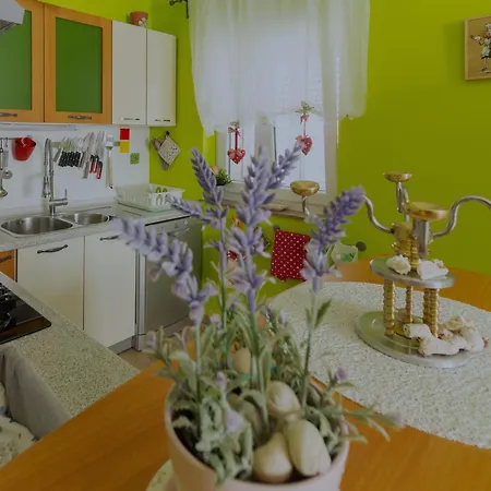 Apartman More Apartamento Novigrad (Dalmatia)